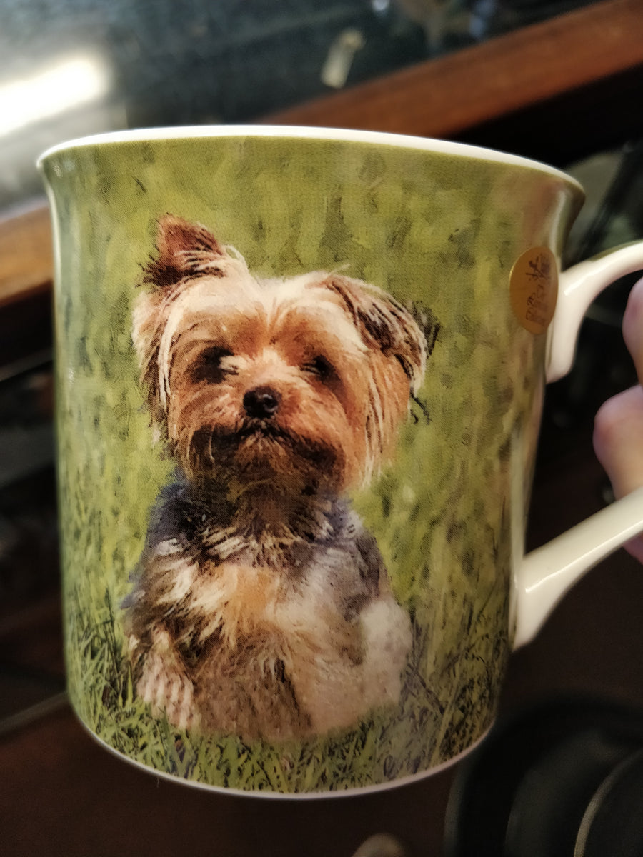 Cup deals yorkshire terrier